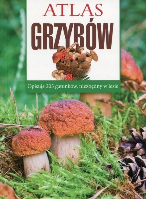 ATLAS GRZYBÓW Sławomir Sokół