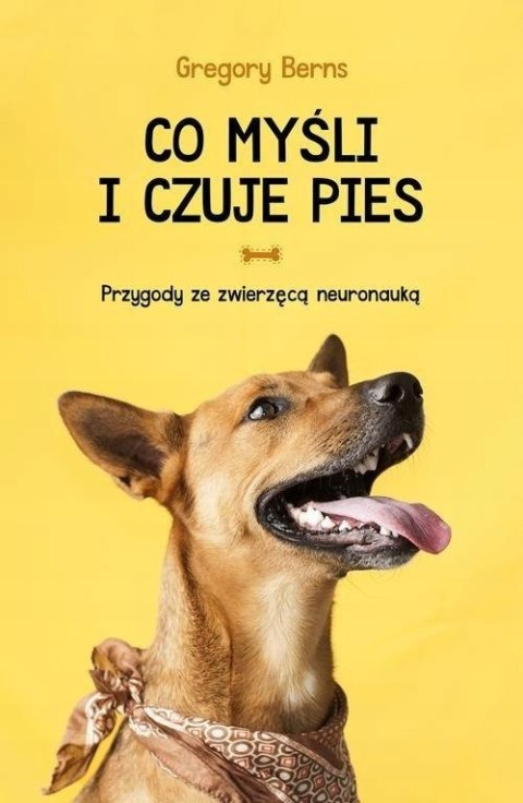 CO MYŚLI I CZUJE PIES Gregory Berns