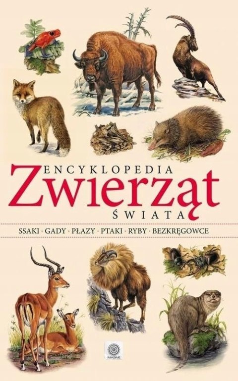 ENCYKLOPEDIA ZWIERZĄT ŚWIATA David Alderton (NOWA/FOLIA)