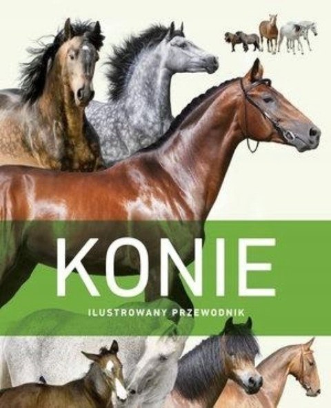KONIE. ILUSTROWANY PRZEWODNIK