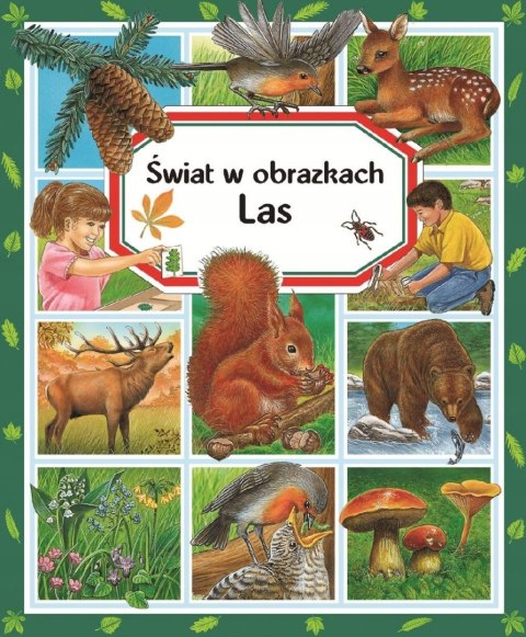 LAS. ŚWIAT W OBRAZKACH Emilie Beaumont
