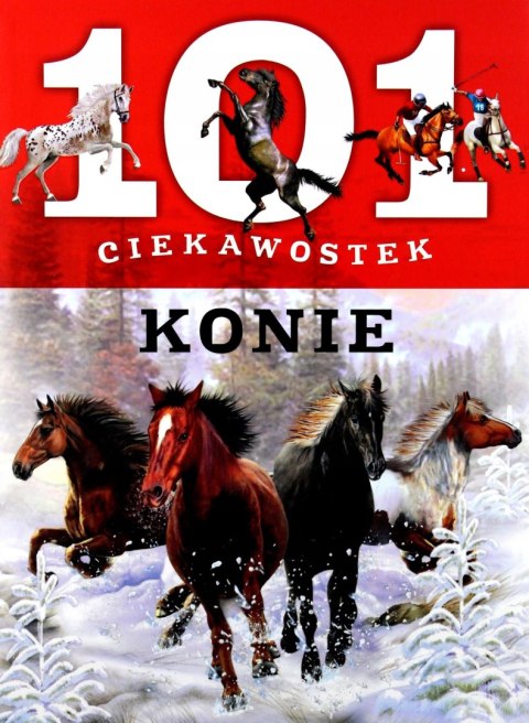 101 CIEKAWOSTEK. KONIE Anais Puygrenier