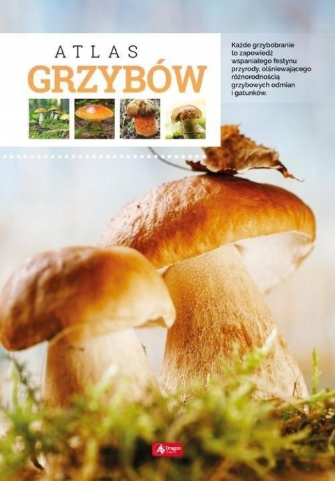 ATLAS GRZYBÓW Wiesław Kamiński