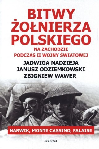 BITWY ŻOŁNIERZA POLSKIEGO Jadwiga Nadzieja, Janusz Odziemkowski