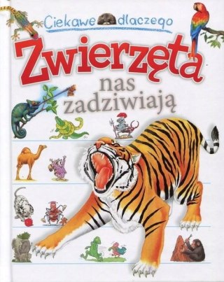 CIEKAWE DLACZEGO. ZWIERZĘTA NAS ZADZIWIAJĄ