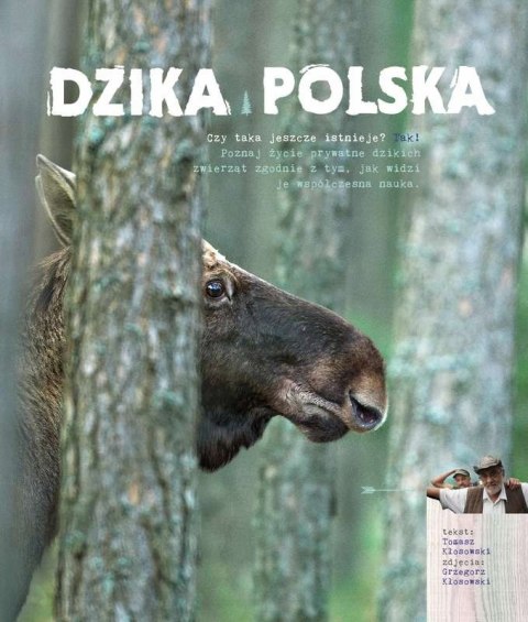 DZIKA POLSKA Tomasz Kłosowski