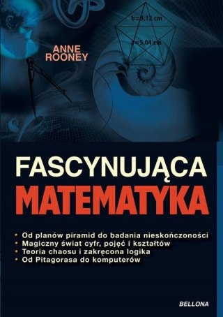 FASCYNUJĄCA MATEMATYKA Anne Rooney (NOWA/FOLIA)