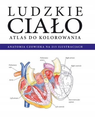 LUDZKIE CIAŁO. ATLAS DO KOLOROWANIA. ANATOMIA W 215 ILUSTRACJACH (FOLIA)