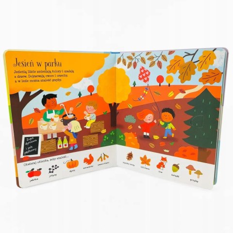 PORY ROKU I POGODA. KSIĄŻKA Z OKIENKAMI Holly Bathie