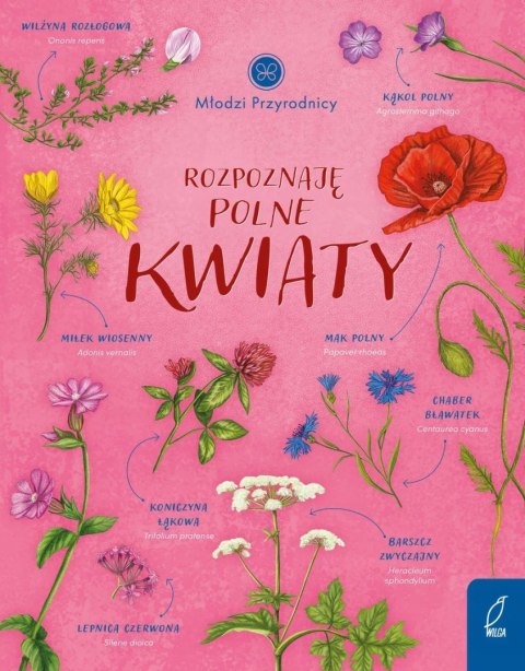 ROZPOZNAJĘ POLNE KWIATY. MŁODZI PRZYRODNICY Patrycja Zarawska