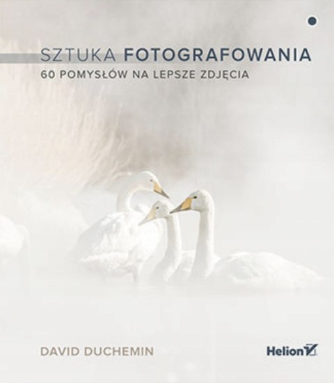 SZTUKA FOTOGRAFOWANIA David duChemin