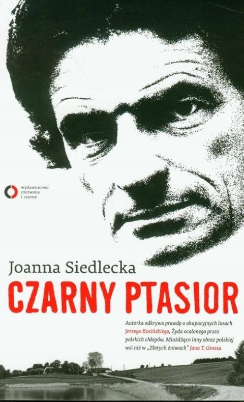 CZARNY PTASIOR Joanna Siedlecka
