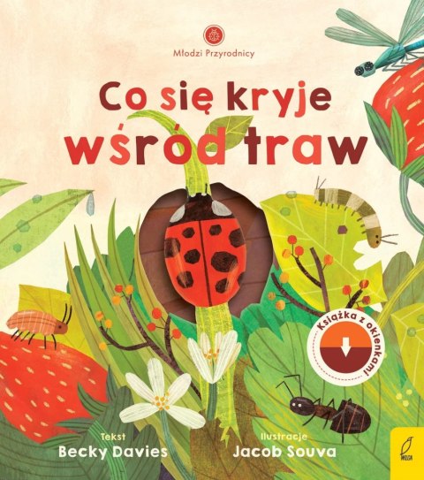 MŁODZI PRZYRODNICY. CO SIĘ KRYJE WŚRÓD TRAW Becky Davies, Jacob Souva
