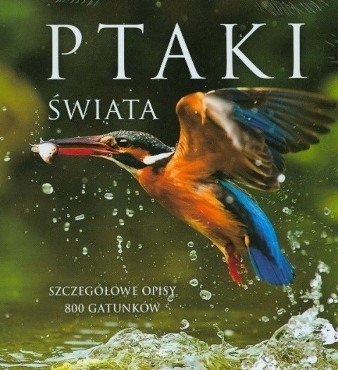 PTAKI ŚWIATA Jacek Twardowski, Kamila Twardowska (OPIS)