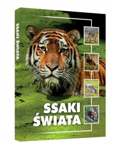 SSAKI ŚWIATA Jacek Twardowski, Kamila Twardowska