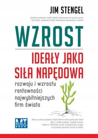 WZROST. IDEAŁY JAKO SIŁA NAPĘDOWA Jim Stengel