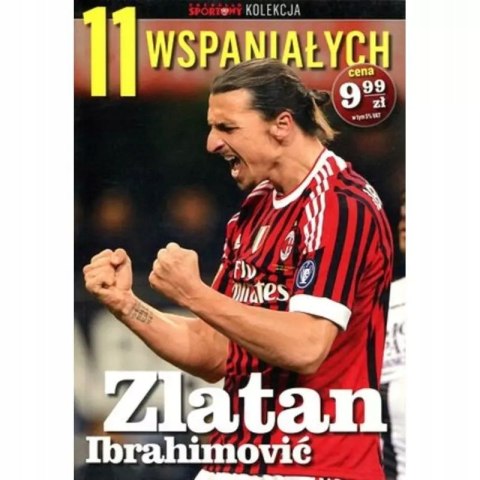 ZLATAN IBRAHIMOVIC. 11 WSPANIAŁYCH