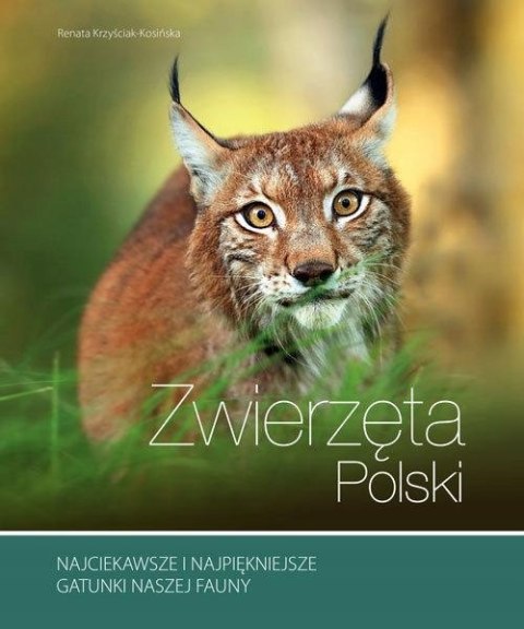 ZWIERZĘTA POLSKI Renata Kosińska