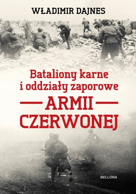 BATALIONY KARNE I ODDZIAŁY ZAPOROWE Władimir Dajnes