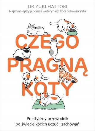 CZEGO PRAGNĄ KOTY Yuki Hattori