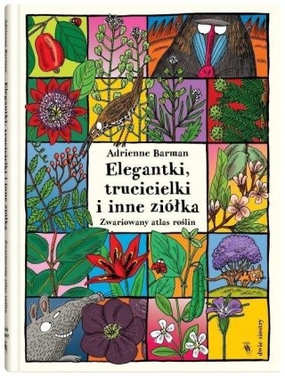 ELEGANTKI, TRUCICIELKI I INNE ZIÓŁKA Adrienne Barman
