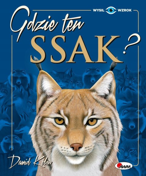 GDZIE TEN SSAK Dawid Kilon