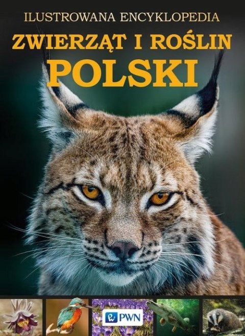 ILUSTROWANA ENCYKLOPEDIA ZWIERZĄT I ROŚLIN POLSKI (OPIS)