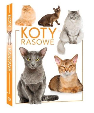 KOTY RASOWE Praca zbiorowa