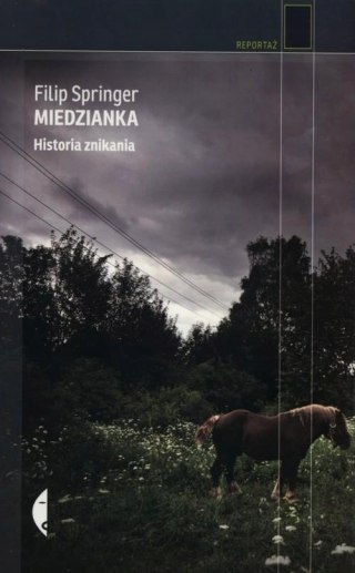 MIEDZIANKA Filip Springer