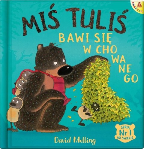 MIŚ TULIŚ BAWI SIĘ W CHOWANEGO David Melling