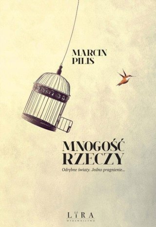 MNOGOŚĆ RZECZY Marcin Pilis