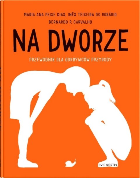 NA DWORZE przewodnik dla odkrywców przyrody DWIE SIOSTRY