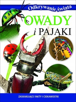 ODKRYWANIE ŚWIATA. OWADY I PAJĄKI