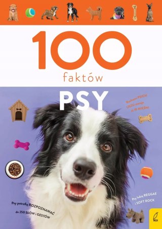 100 FAKTÓW. PSY Anna Młynowska