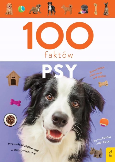 100 FAKTÓW. PSY Anna Młynowska