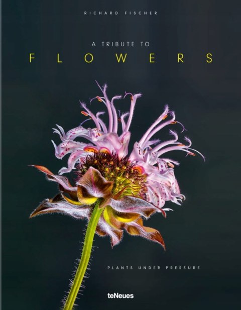 A TRIBUTE TO FLOWERS Richard Fischer (OPIS)