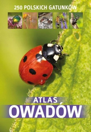 ATLAS OWADÓW 250 polskich gatunków Jacek Twardowski Kamila Twardowska