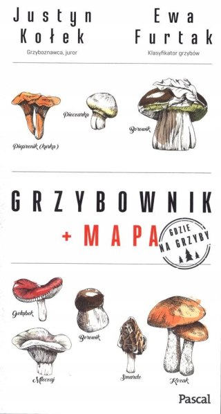GRZYBOWNIK + MAPA Ewa Furtak, Justyn Kołek
