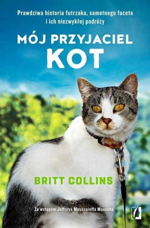 MÓJ PRZYJACIEL KOT Britt Collins