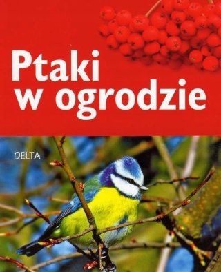 PTAKI W OGRODZIE Ulrich Schmid