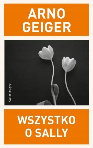 WSZYSTKO O SALLY Arno Geiger