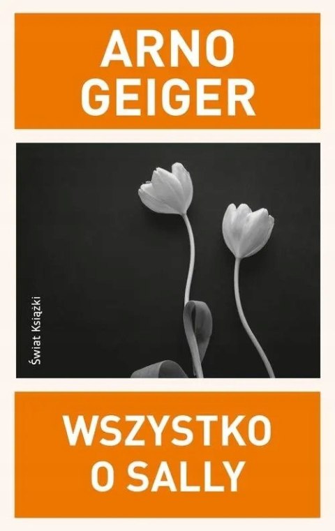 WSZYSTKO O SALLY Arno Geiger