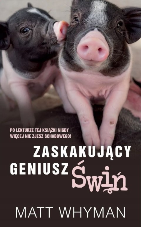 ZASKAKUJĄCY GENIUSZ ŚWIŃ Matt Whyman