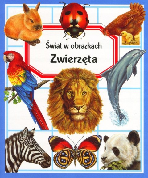 ZWIERZĘTA. ŚWIAT W OBRAZKACH Emilie Beaumont
