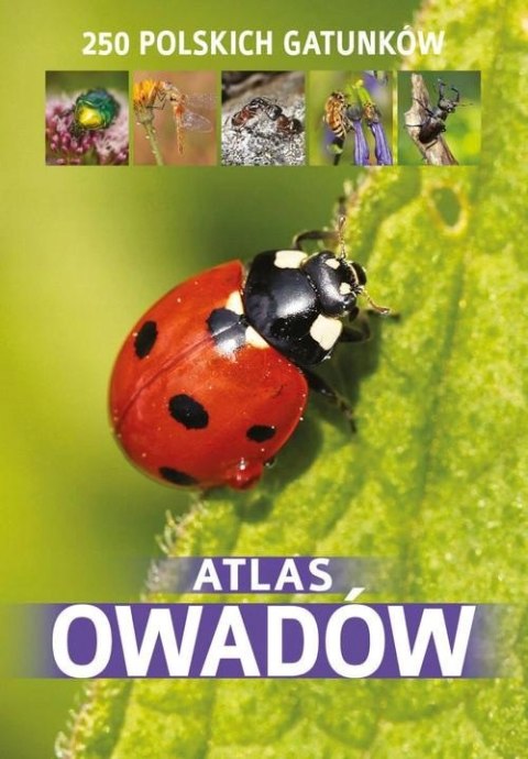 ATLAS OWADÓW. 250 POLSKICH GATUNKÓW Jacek Twardowski, Kamila Twardowska