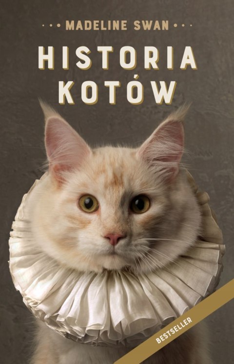 HISTORIA KOTÓW Madeline Swan