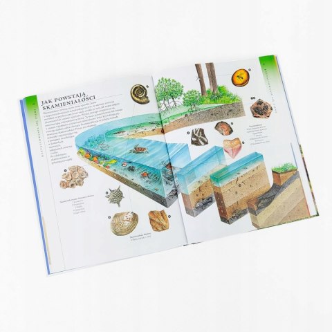 HISTORIA ZIEMI. ILUSTROWANA ENCYKLOPEDIA (NOWA/FOLIA)
