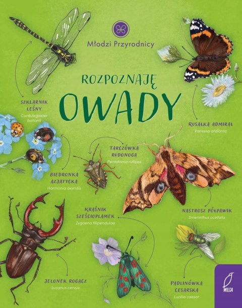 ROZPOZNAJĘ OWADY. MŁODZI PRZYRODNICY Patrycja Zarawska
