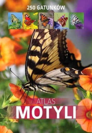 ATLAS MOTYLI. 250 GATUNKÓW Jacek Twardowski, Kamila Twardowska