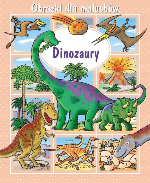 DINOZAURY. OBRAZKI DLA MALUCHÓW Emilie Beaumont